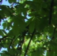 Valganna, pista ciclopedonale al Lago di Ghirla