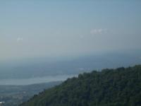 foto Ibis, lago di Varese foto Ibis, lago di Varese