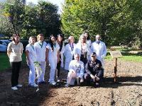Luino, piantumazione Albero della salute (foto Asst Sette Laghi Varese) Luino, piantumazione Albero della salute (foto Asst Sette Laghi Varese)