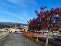 Luino, sul lungolago (foto Ibis)
