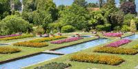 Summer-garden (foto Giardini Botanici Villa Taranto) Summer-garden (foto Giardini Botanici Villa Taranto)