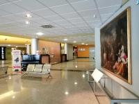 Hall Ospedale di Varese, foto Ibis