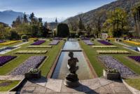 Verbania, Villa Taranto (foto Giardini Botanici) Verbania, Villa Taranto (foto Giardini Botanici)