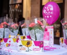 Ape, endometriosi Ape, endometriosi